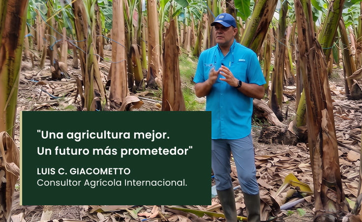 Luis C. Giacometto en una plantación de banano, junto al mensaje Una agricultura mejor. Un futuro más prometedor.